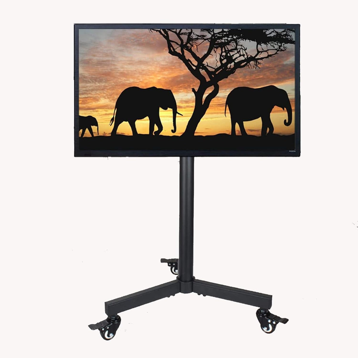 CWCQGH, Smart TV, 32 pollici, 290x300 mm, 30 kg, Nero